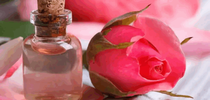 Les 10 bienfaits de l’eau de rose au quotidien