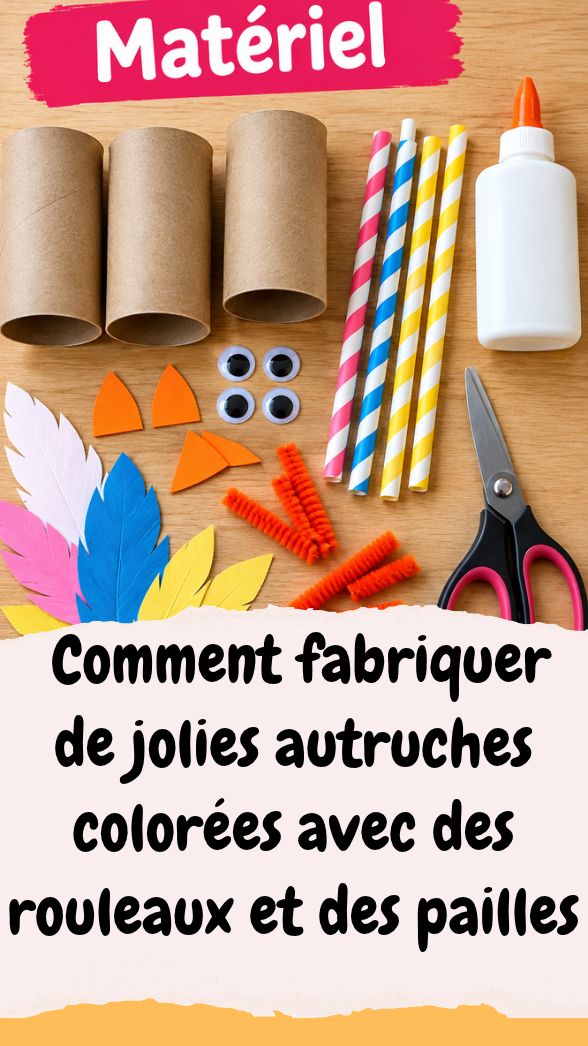 DIY autruche rouleaux et pailles