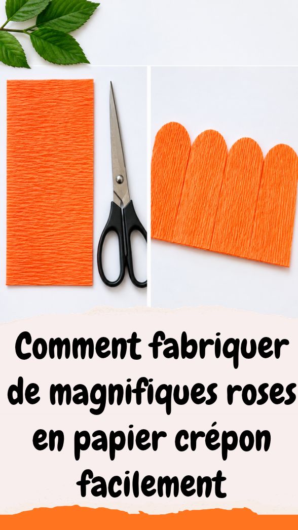 DIY rose en papier crépon