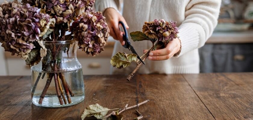 Séchage des hortensias
