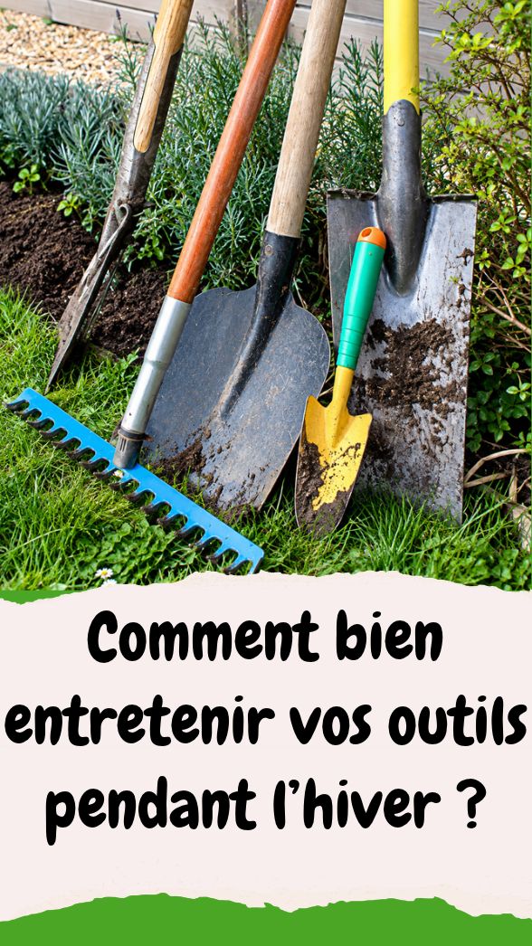 Entretien des Outils de Jardin en Hiver