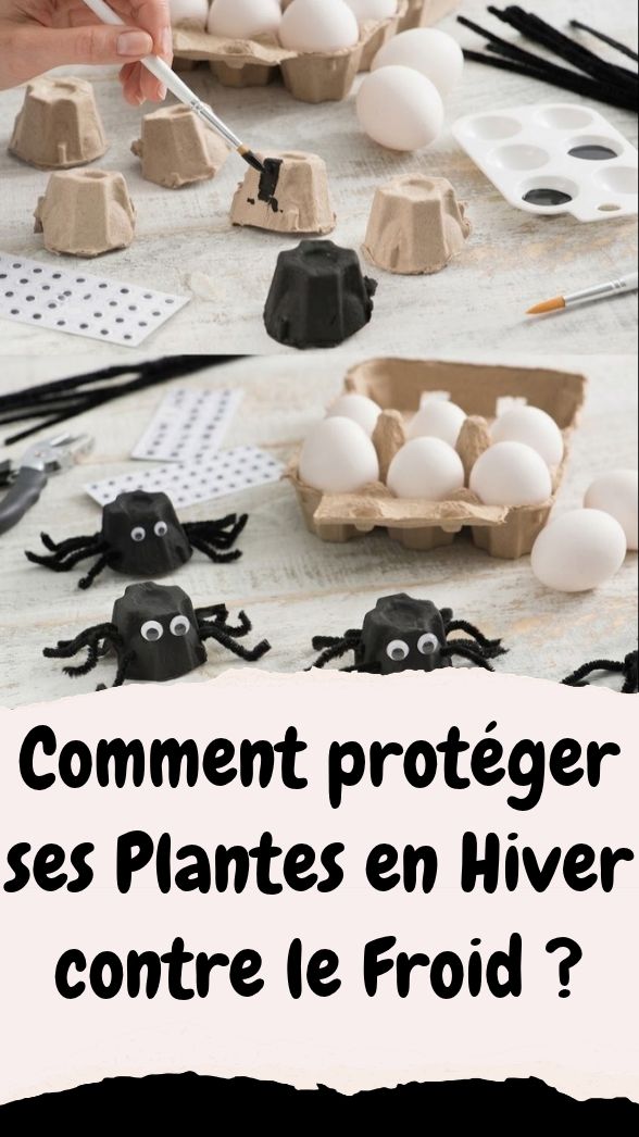 5 Idées Faciles de Bricolage d'Halloween en Boîte à Œufs !