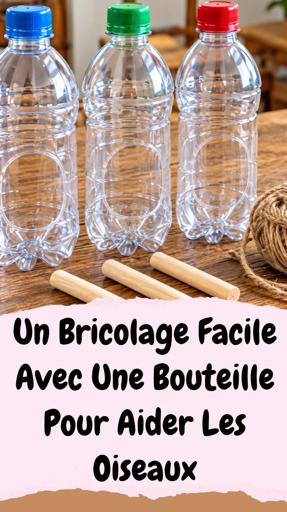 Mangeoire Oiseaux Bouteille Plastique : Tuto DIY Écologique