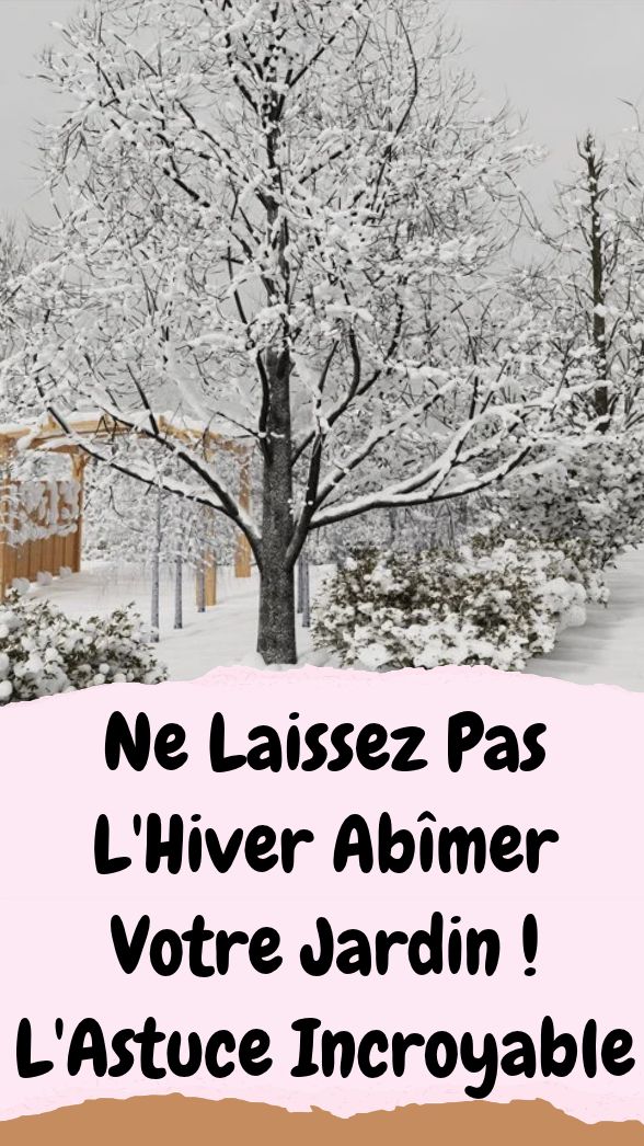 5 conseils pour préparer et protéger son jardin avant l’hiver
