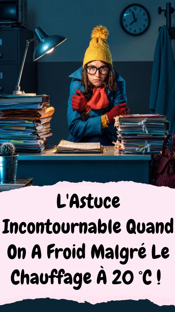 Froid Chez Soi Chauffage 20 Degres : Solutions Et Astuces