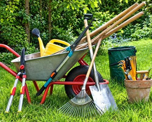 Entretenir ses Outils de Jardin en Hiver