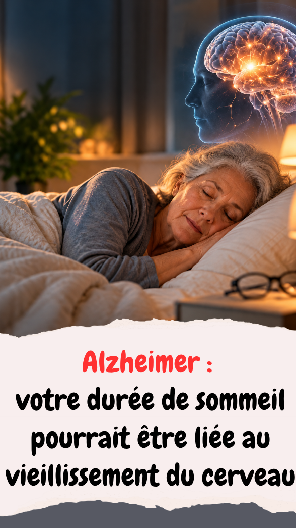 votre durée de sommeil pourrait être liée au vieillissement du cerveau